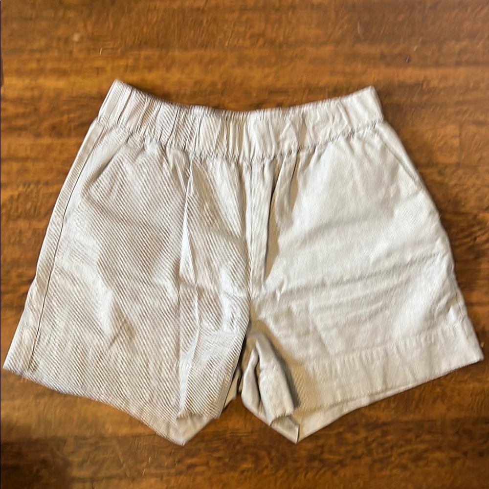 Everlane easy shorts size large navy pin stripe